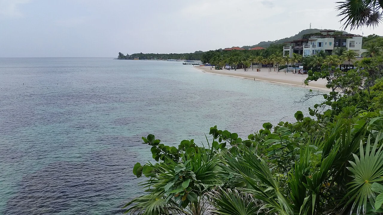 West Bay Beach on Roatán viewed north along the shoreline, with palms and beachfront buildings