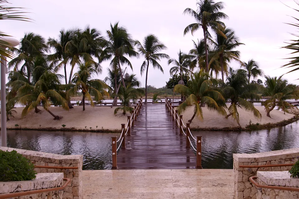 Footbridge and palms at Camana Bay, Grand Cayman, photographed in 2010